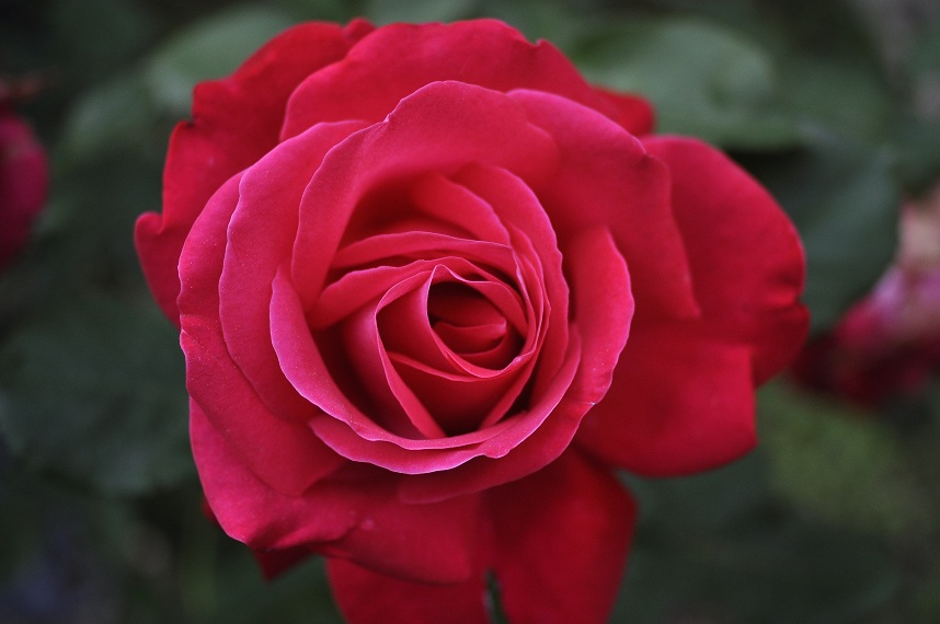 _DSC0144mod.jpg