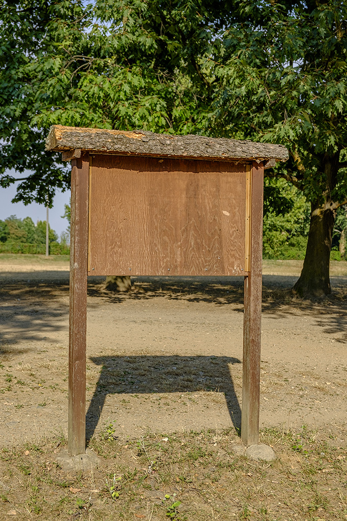 _DSF0064.jpg