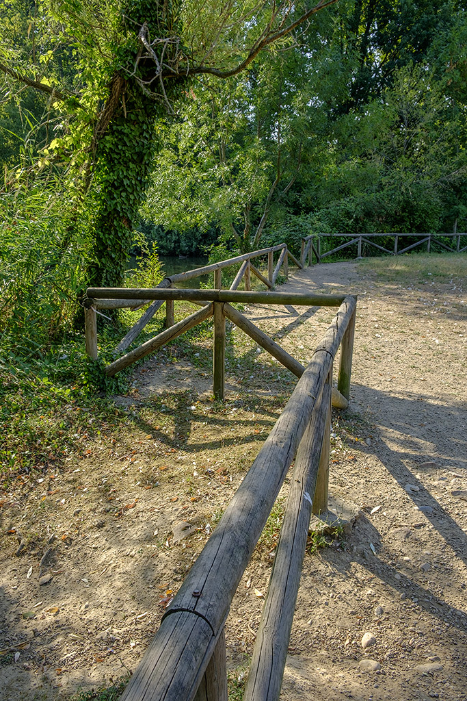 _DSF0075.jpg
