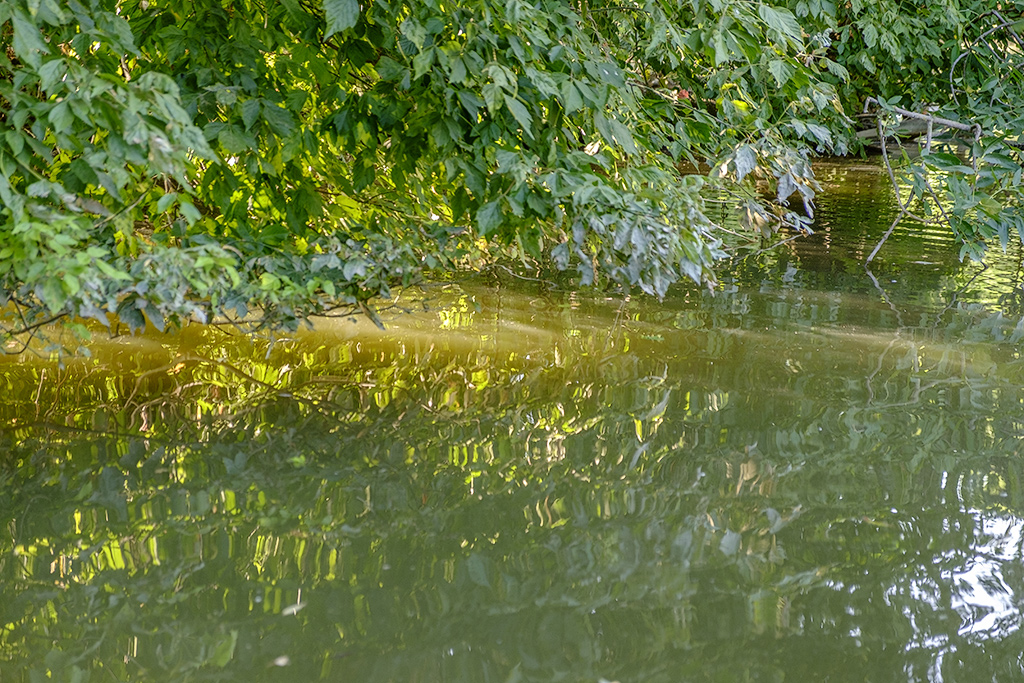 _DSF0093.jpg