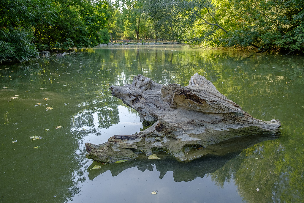 _DSF0095.jpg
