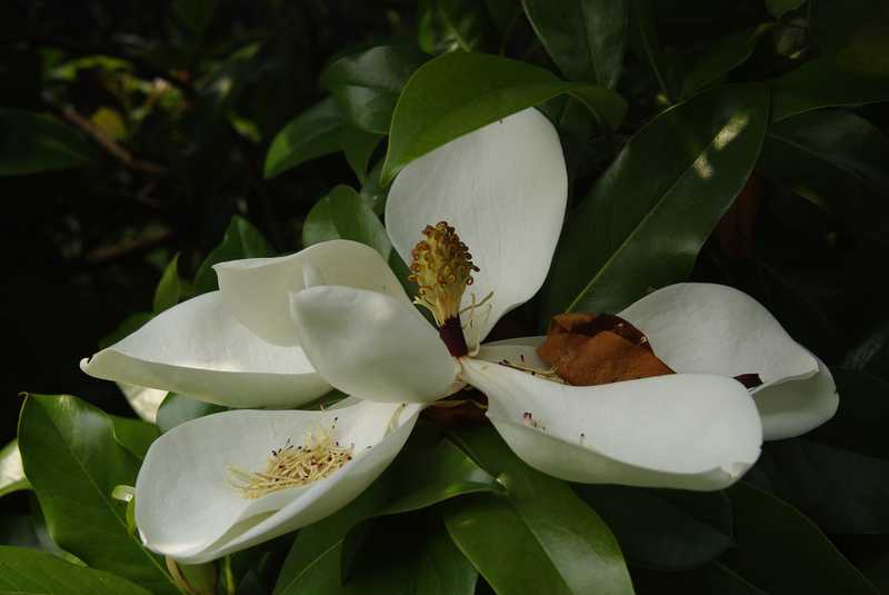 _IGP0057.jpg