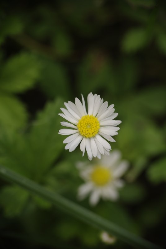 _IGP0073.jpg