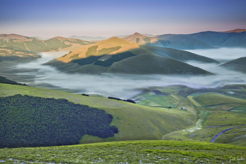 _MG_1072b.jpg