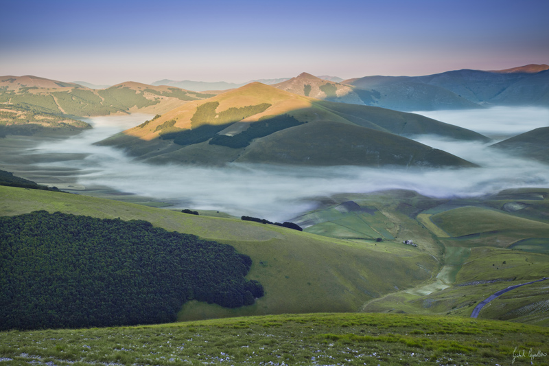 _MG_1072b.jpg