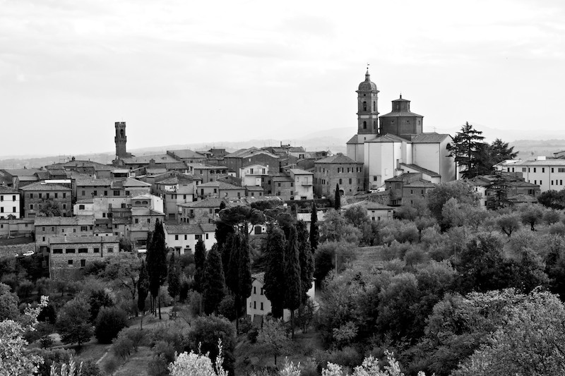 _MG_1155.jpg