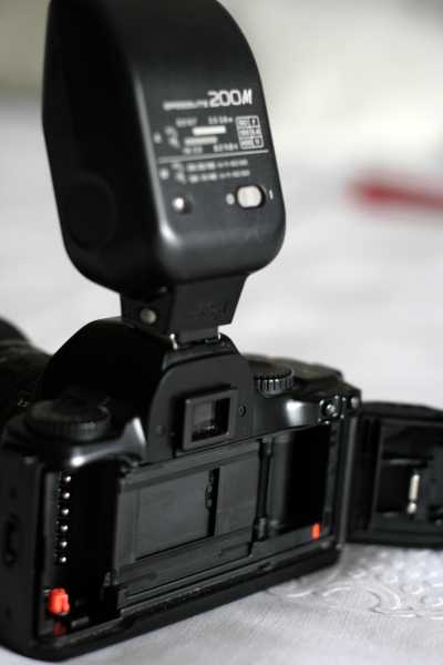 _MG_2030_small.JPG