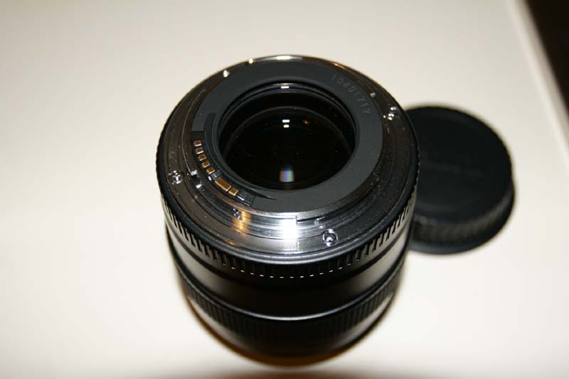 _MG_6447.JPG