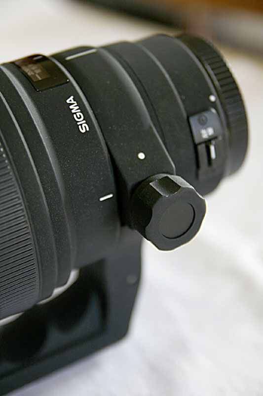_MG_6526.jpg