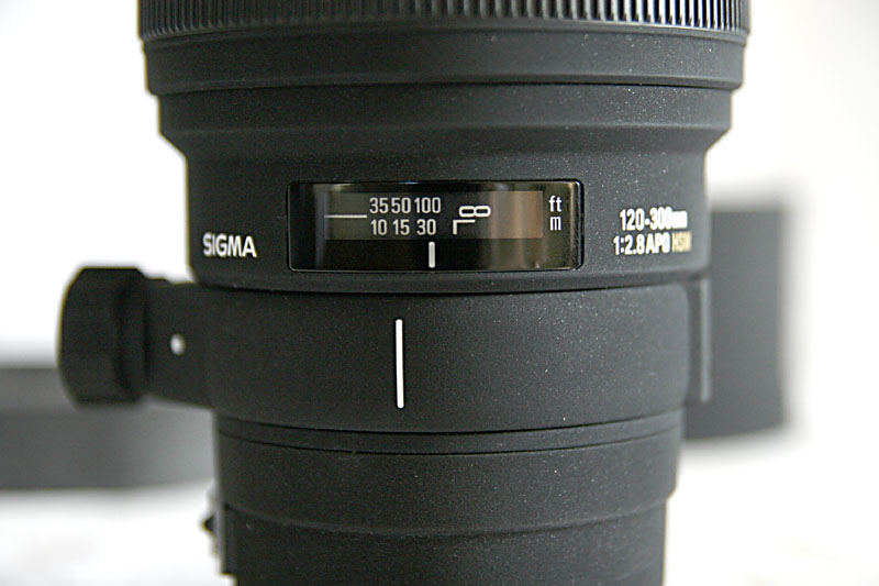 _MG_6527.jpg