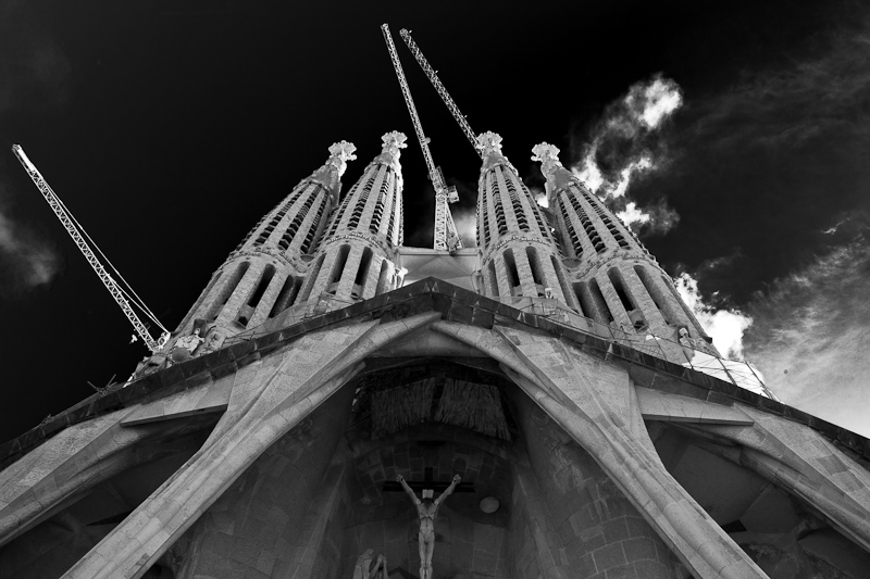 _MG_7137.jpg