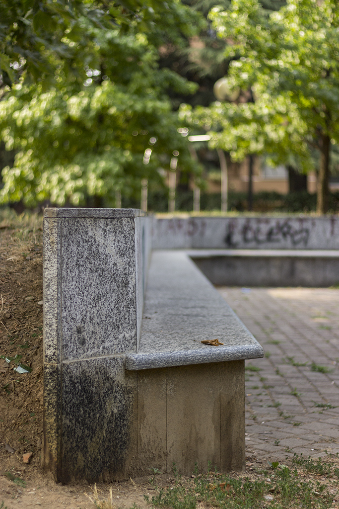 _MG_7383.jpg
