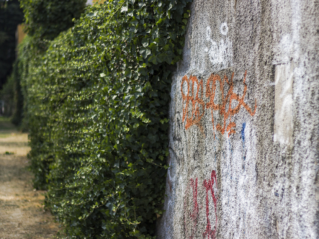 _MG_7402.jpg