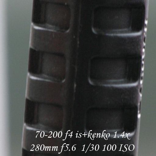 _MG_8458crop.jpg
