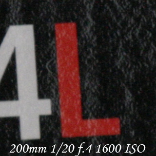 _MG_8468crop.jpg
