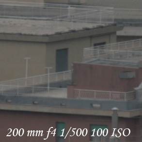 _MG_8488crop.jpg