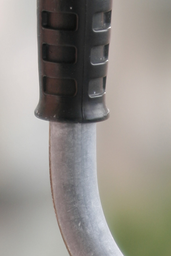 _MG_9150crop.jpg