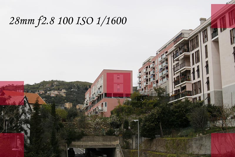 _MG_9156.jpg