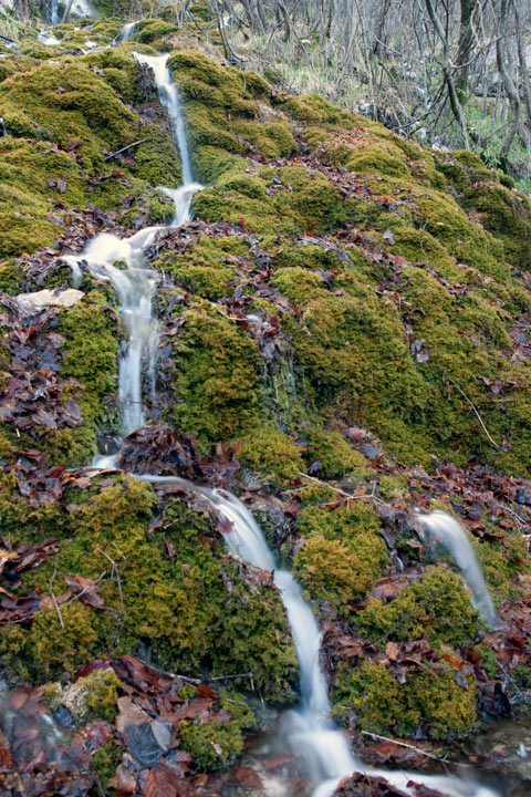 aae_8907_720.jpg