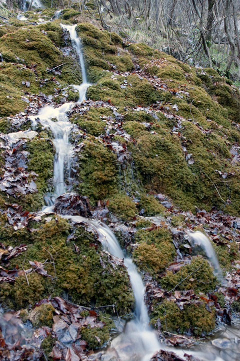 aae_8908_720.jpg