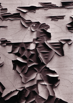 aaron siskind.JPG