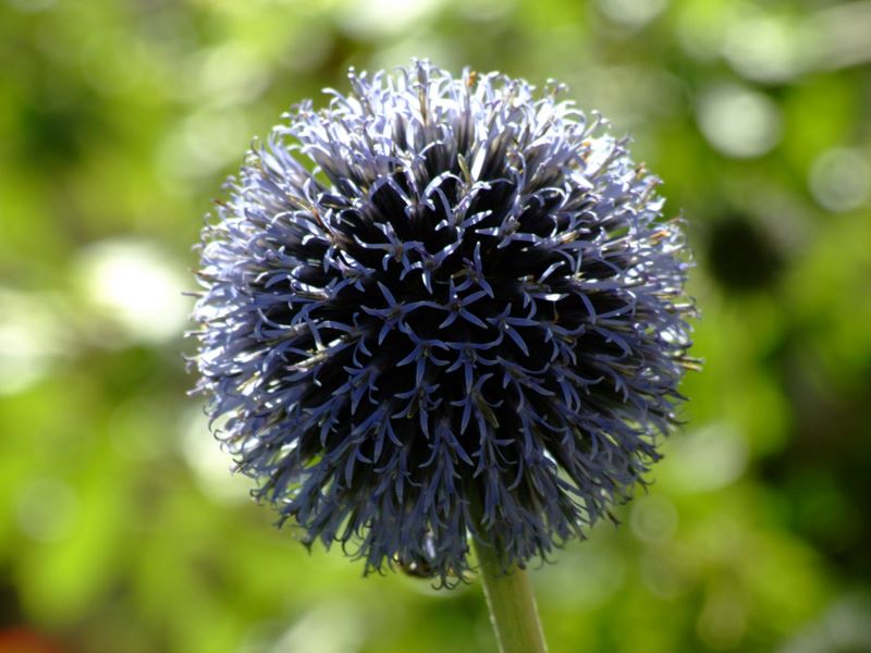 Agosto 2006 670.jpg