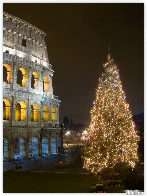 albero.jpg