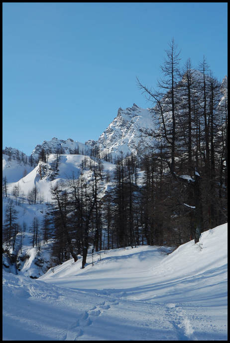 alpe14.jpg