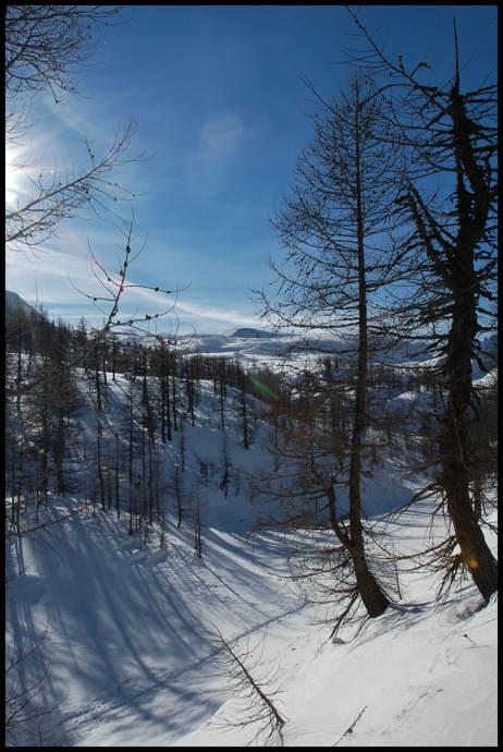 alpe4.jpg