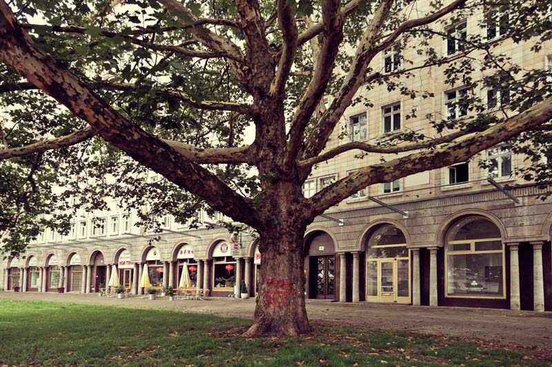 Berlin_33_IMG_6253.jpg