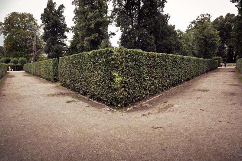 Berlin_54_IMG_6166-c.jpg