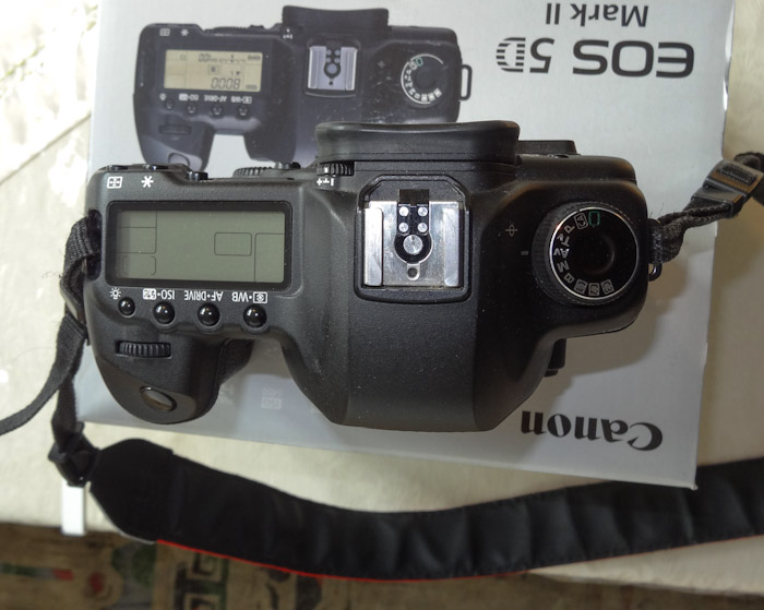 Canon 5D Mark II (11 von 11).jpg