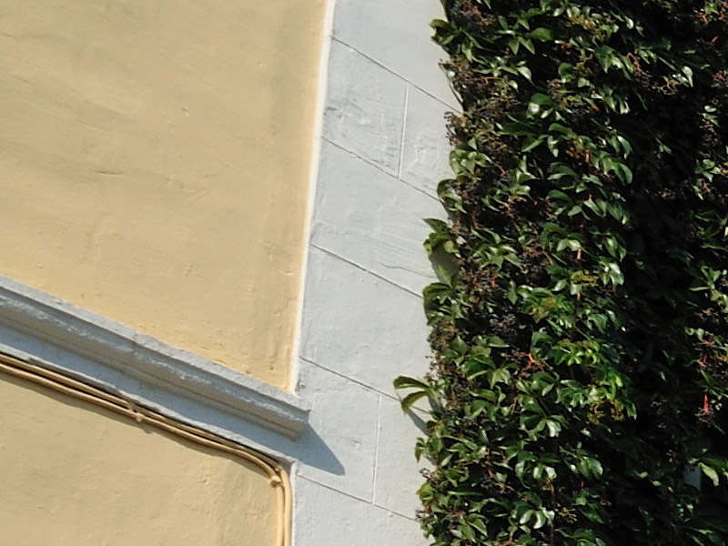 Capture_crop.jpg