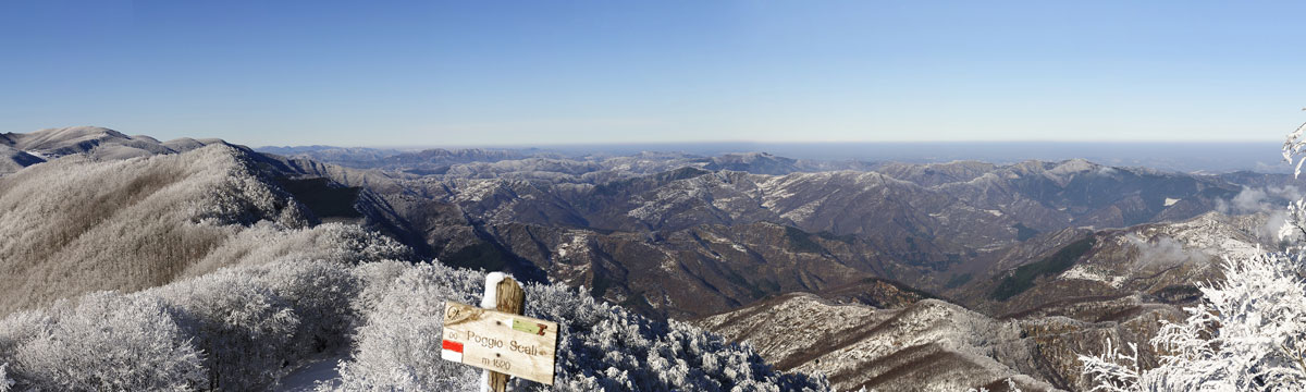 casentino Panorama 6 100x30.jpg