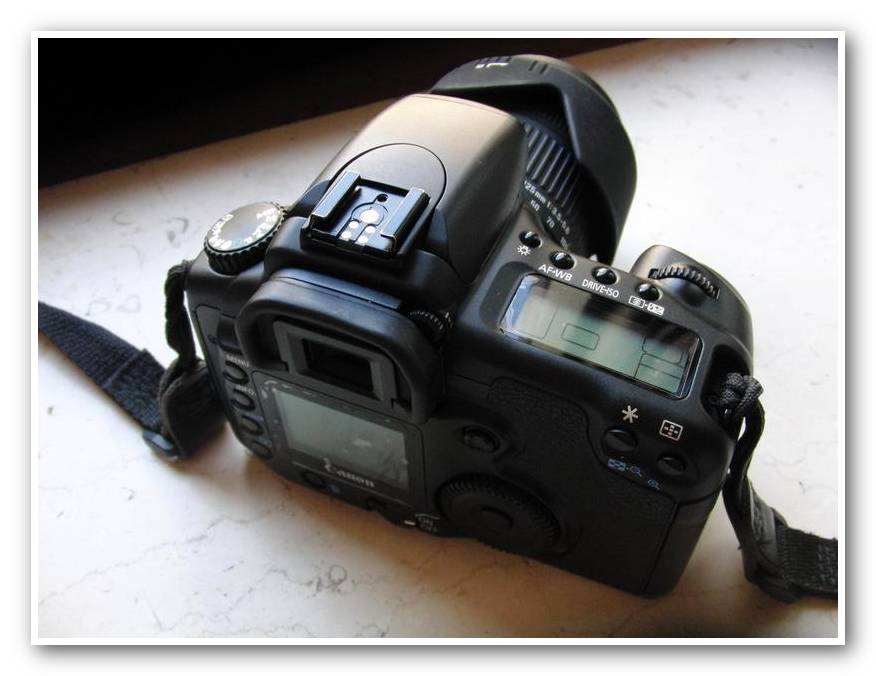 CIMG6063_20D_N_6.jpg