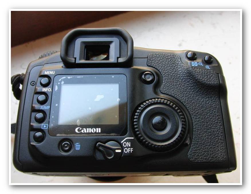 CIMG6065_20D_N_6.jpg