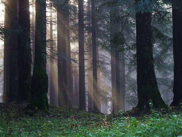 Colori della luce .jpg