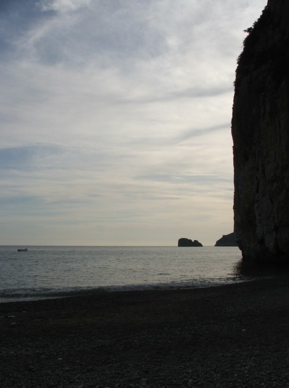 conoglio.jpg