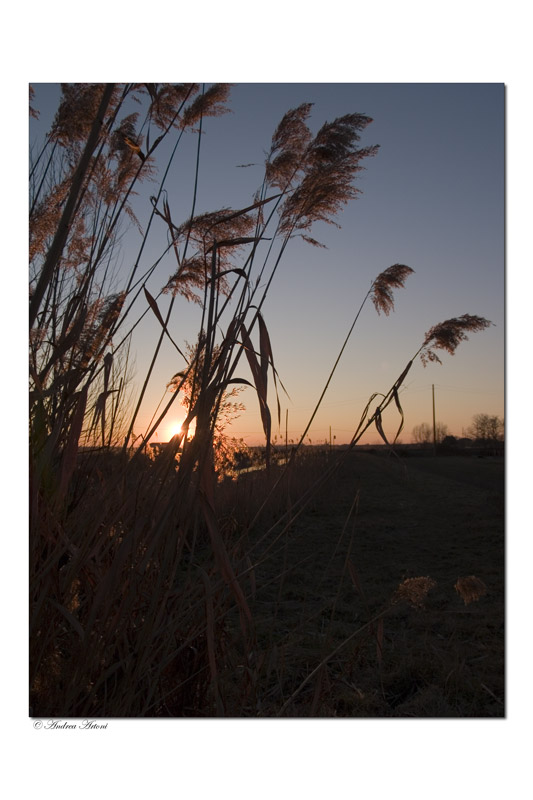 controluce2.jpg