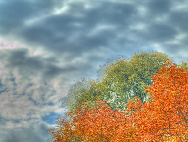 Cromia1-2-hdr-sat1-thumb.jpg