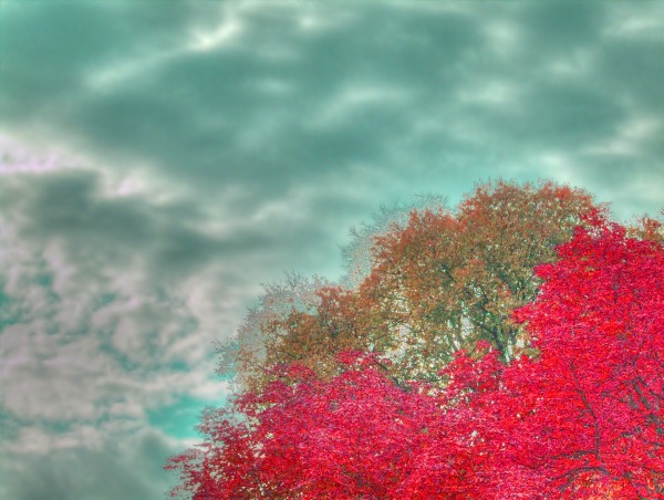 Cromia1-2-hdr-sat2-thumb.jpg