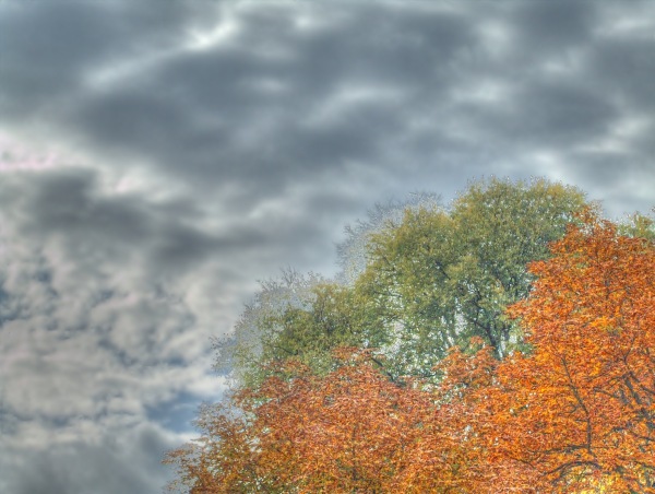 Cromia1-2-hdr-thumb.jpg