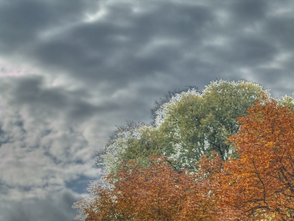 Cromia2-hdr-thumb-1.jpg