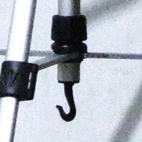 croop 3 1600.JPG