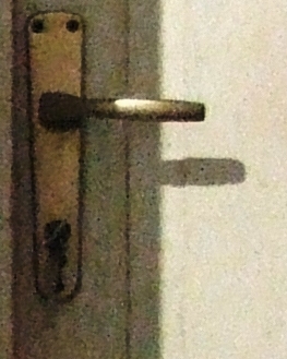 croop 5 1600.JPG