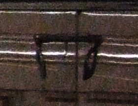 croop 7 1600.JPG