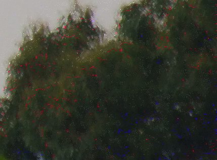crop-1a.jpg