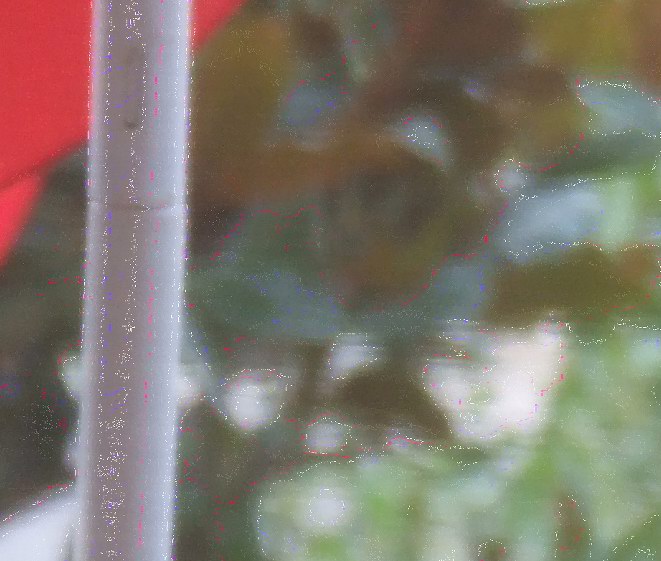 Crop-2.jpg