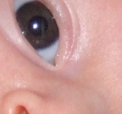 Crop-5.jpg