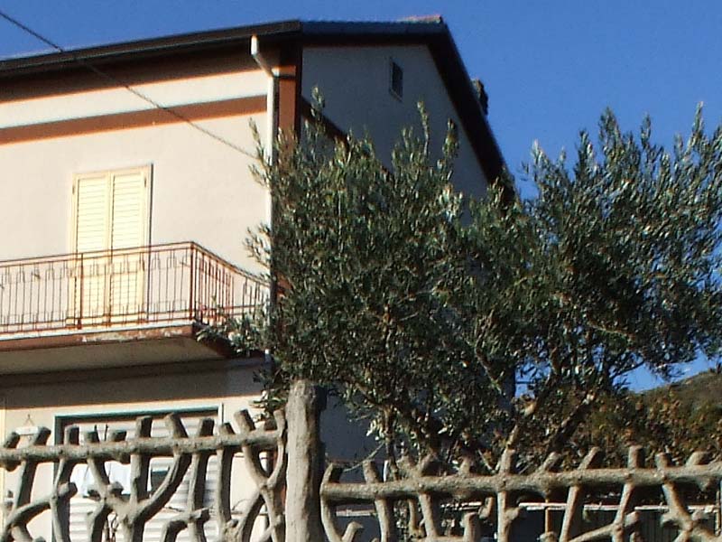 crop-centro.jpg